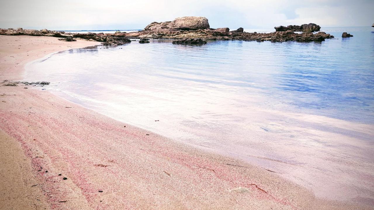 Villa Manuela Sul Mare ساريستو سوغليري المظهر الخارجي الصورة